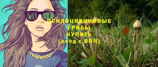а пвп мука Коряжма