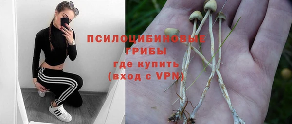 а пвп мука Коряжма