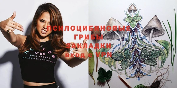 тгк Корсаков