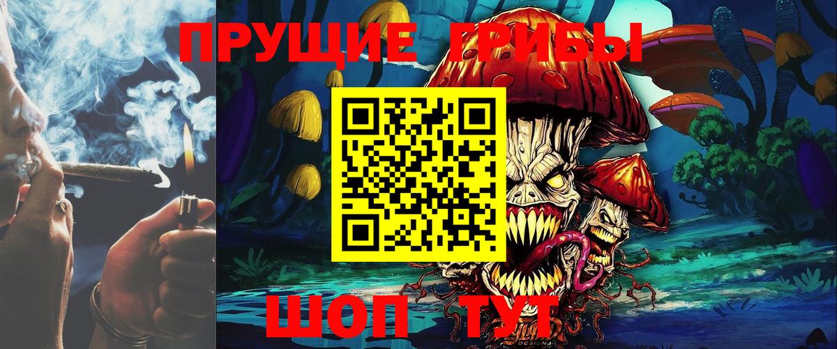 Псилоцибиновые грибы Cubensis  Вход с VPN  Назрань 